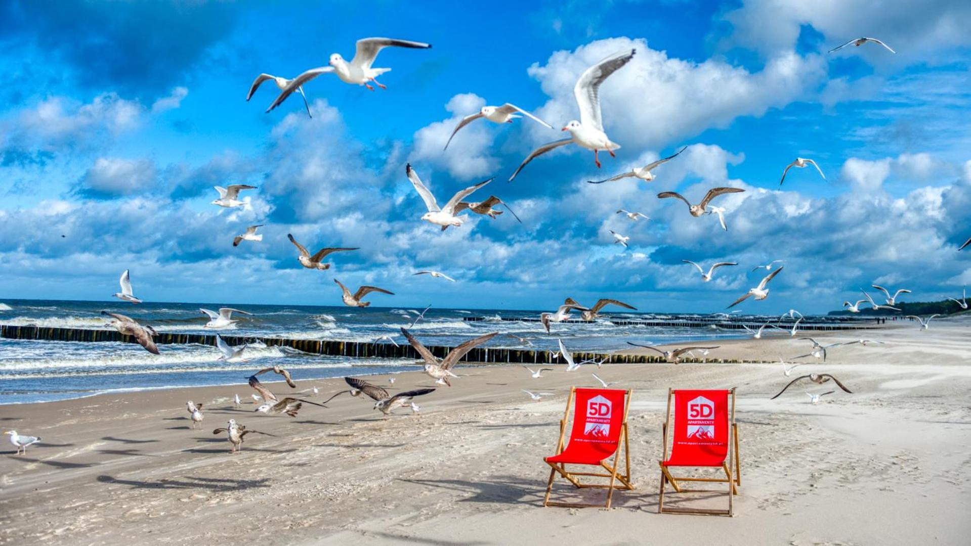 Rezydencja Niechorze 310 Z Widokiem Na Morze I Przy Plazy - 5D Apartamenty Buitenkant foto